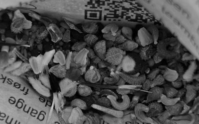 Rituels contemporains